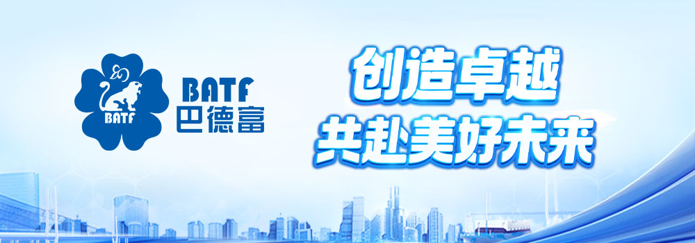 巴德富集團有限公司